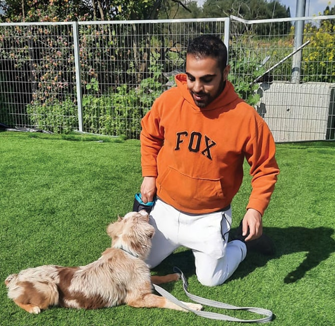 רועה אוסטרלי