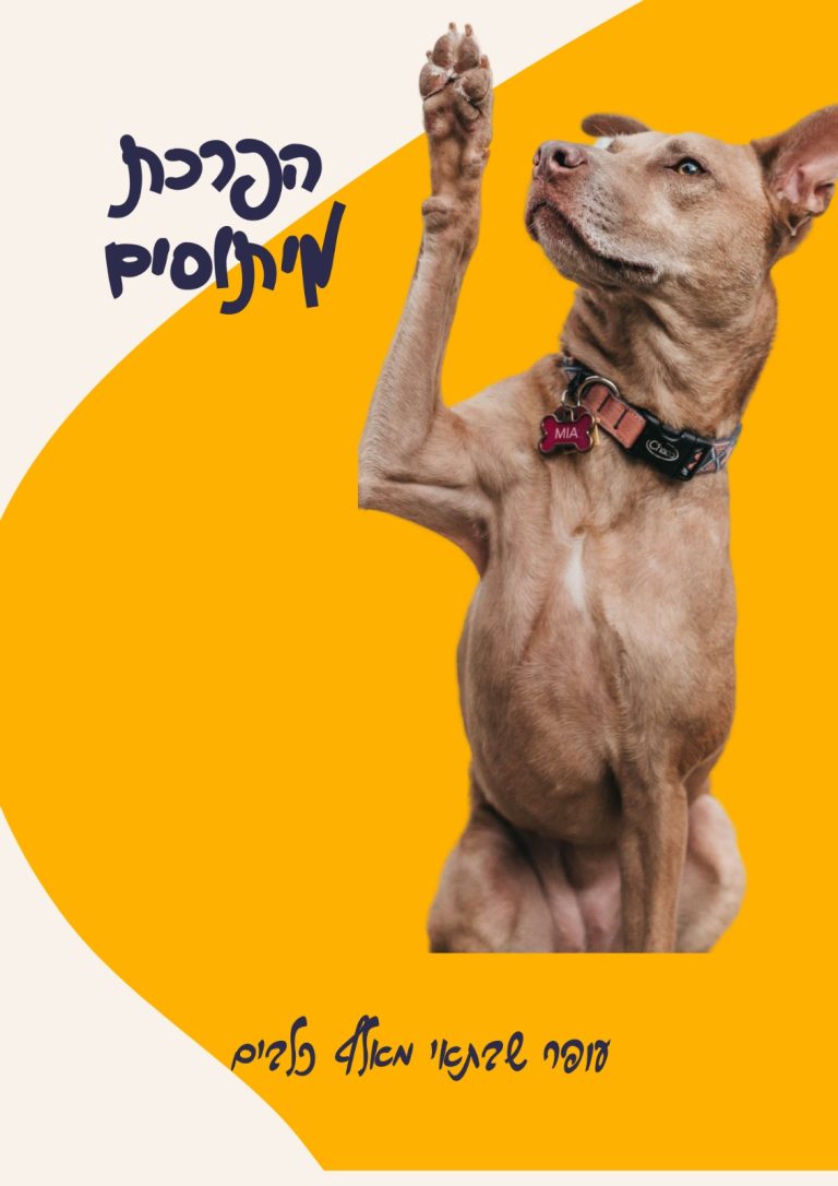 מיתוסים על אילוף כלבים