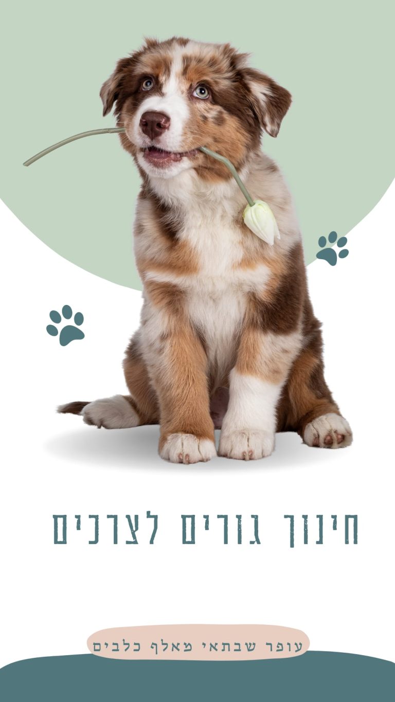 אילוף גורים