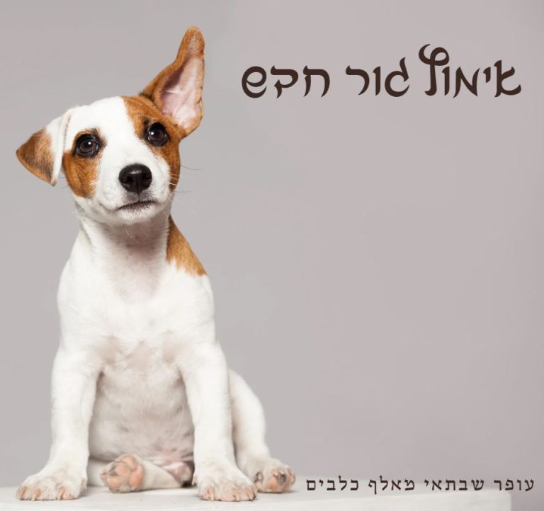 אימוץ גור חדש