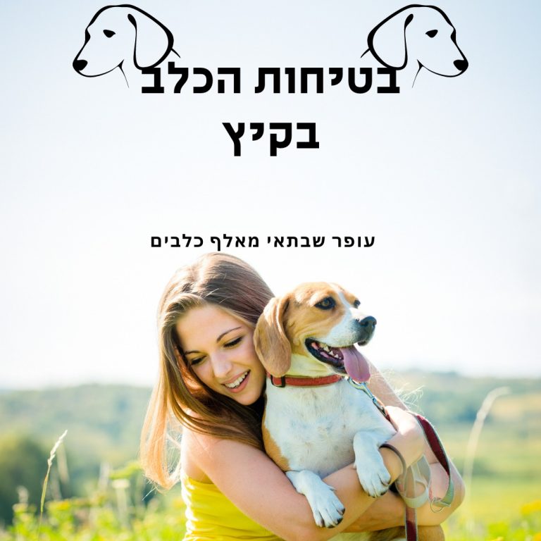 כלבים בקיץ
