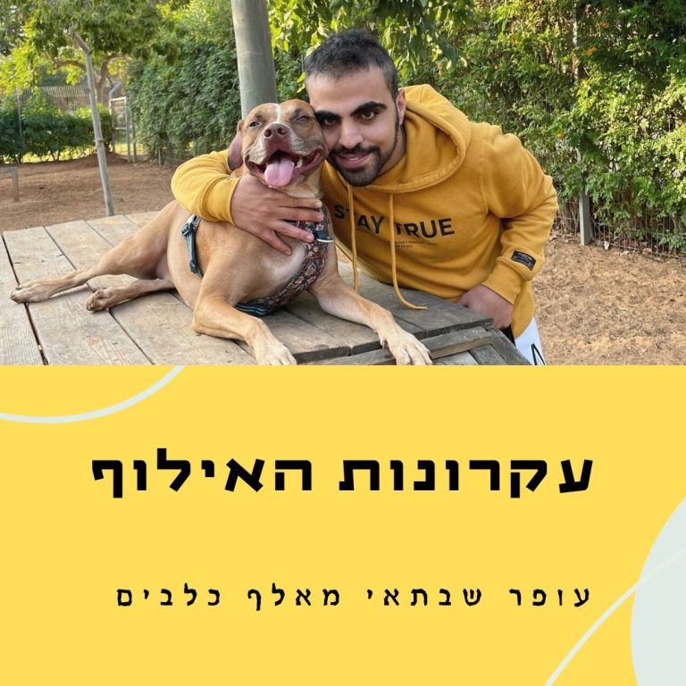 עקרונות אילוף