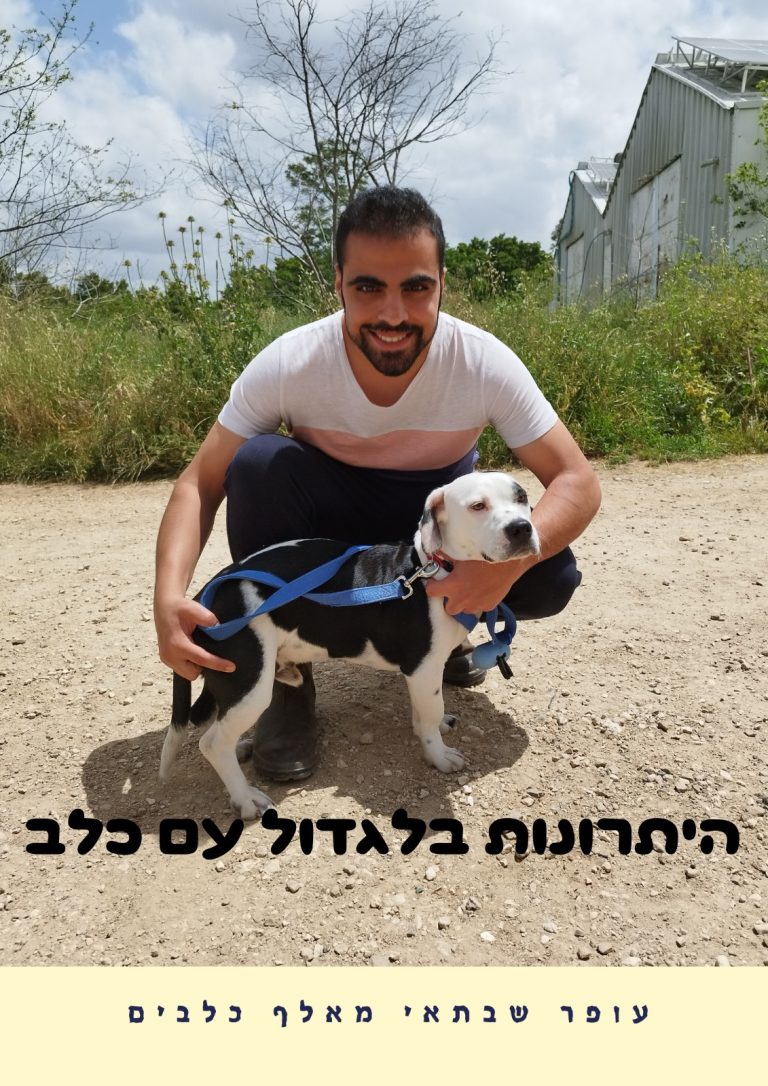 היתרונות בלגדול עם כלב