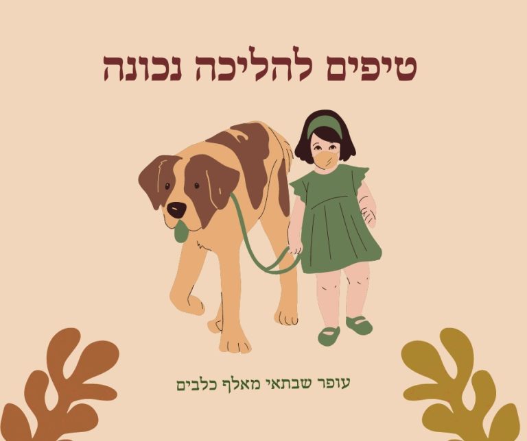 טיפים לאילוף גורים להליכה נכוננה