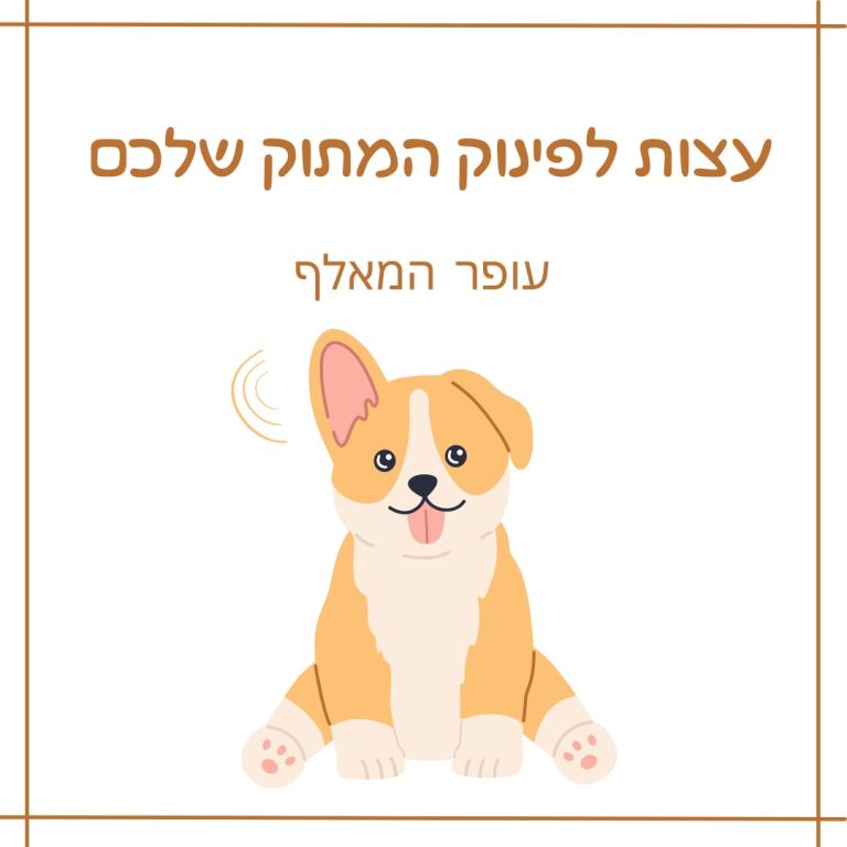 פינוק גורים