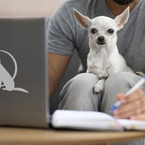 קורס דיגיטלי לחינוך גורים שובבים